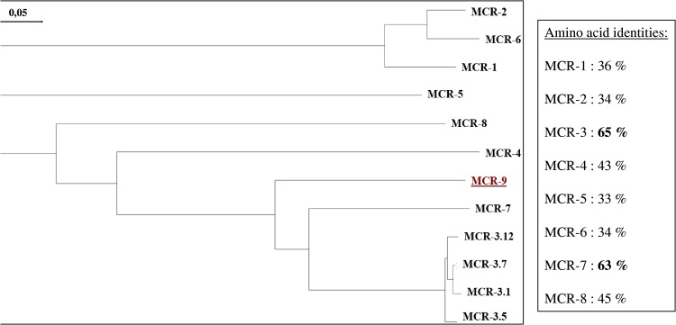 FIG 1