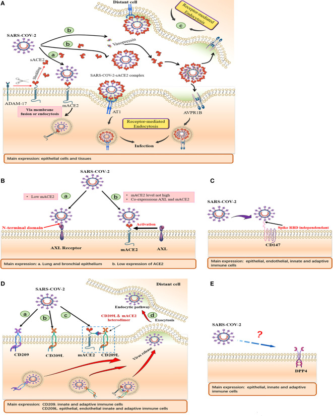 Figure 3