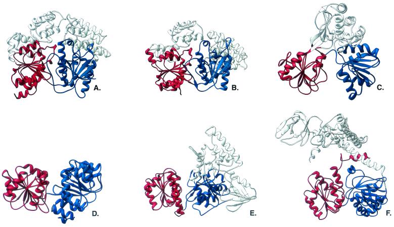 FIG. 2.