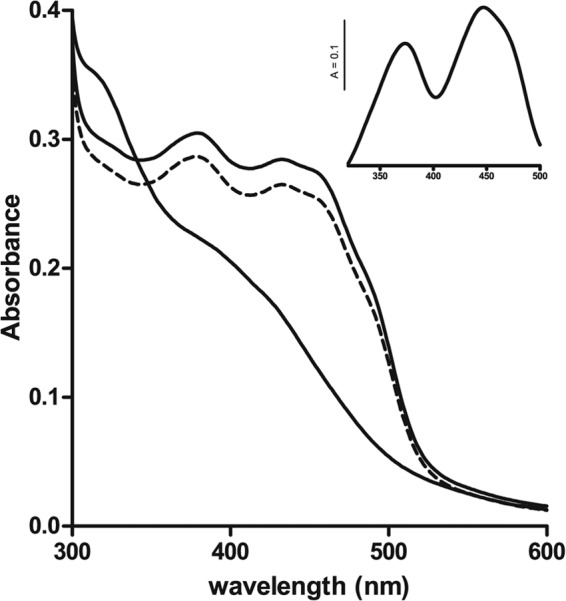 FIG 2