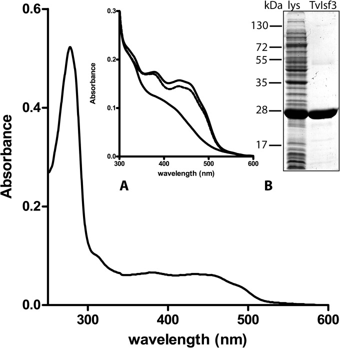 FIG 3