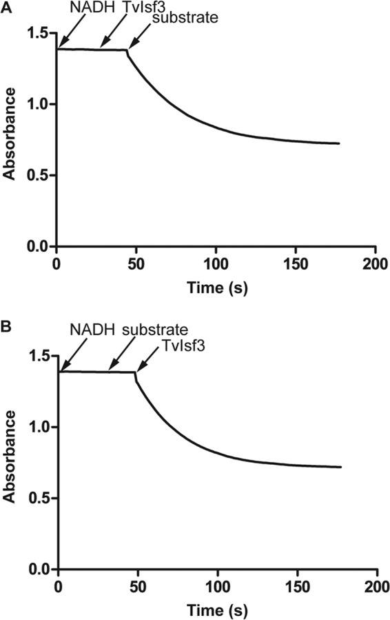 FIG 6