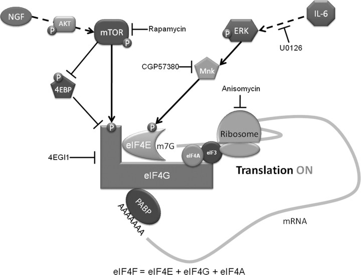 Figure 7.