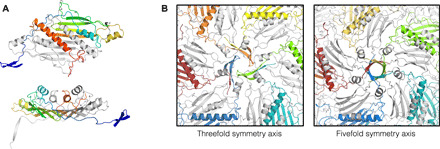 Fig. 4