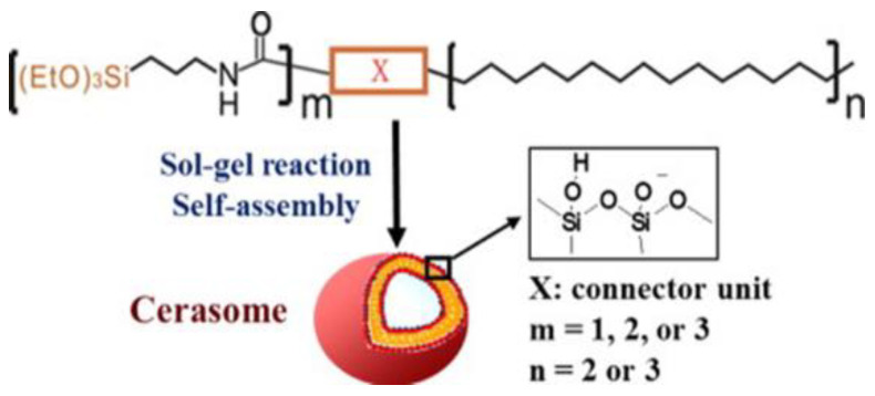 Figure 19