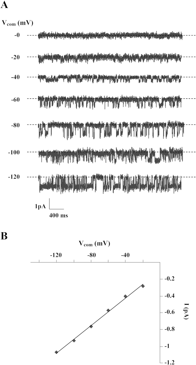 Fig. 2