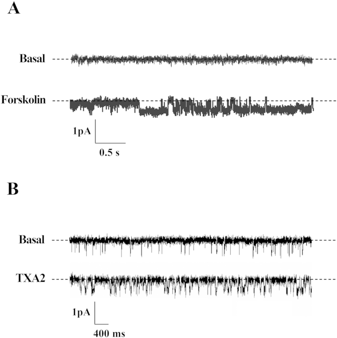 Fig. 4