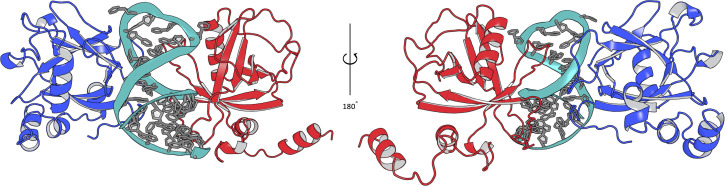 Figure 8—figure supplement 1.