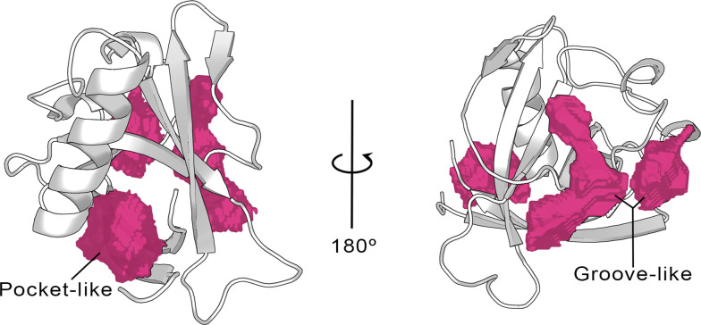 Figure 2.