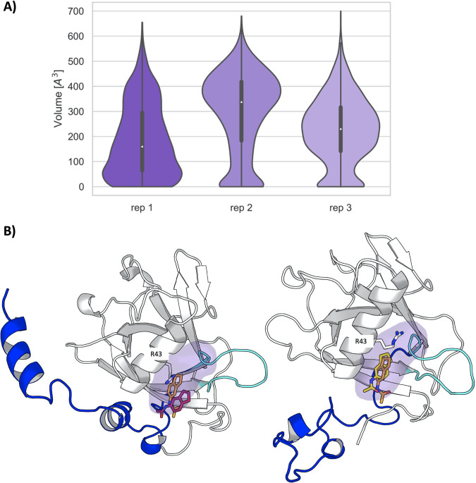 Figure 8—figure supplement 3.