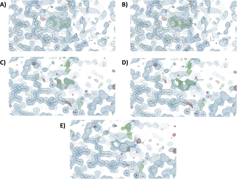 Figure 6—figure supplement 1.