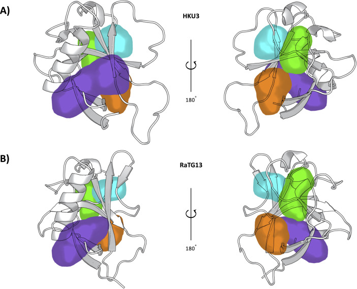 Figure 9—figure supplement 2.