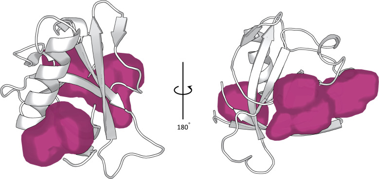 Figure 2—figure supplement 1.