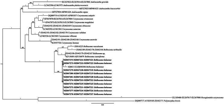 Fig. 4.