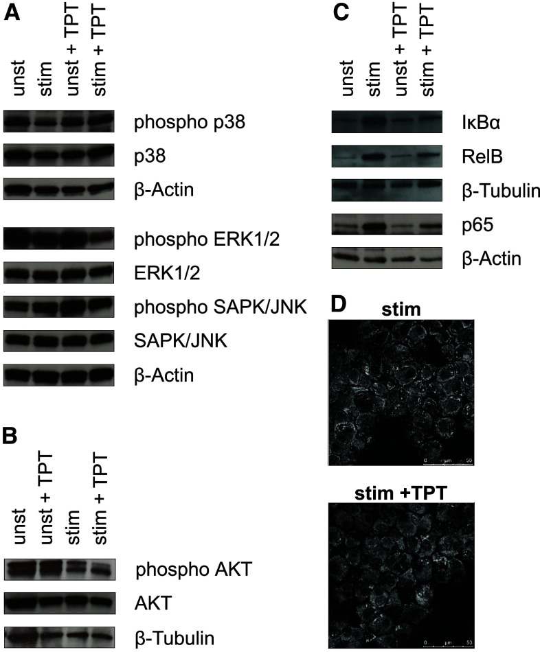 Fig. 6