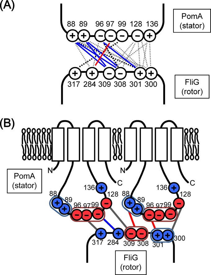 FIG 5