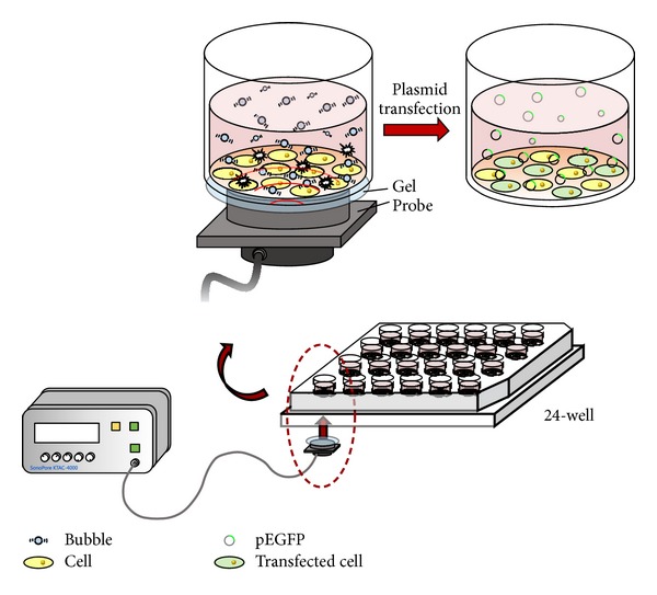 Figure 2