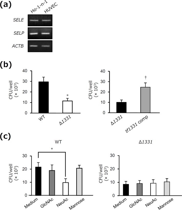 Fig 7