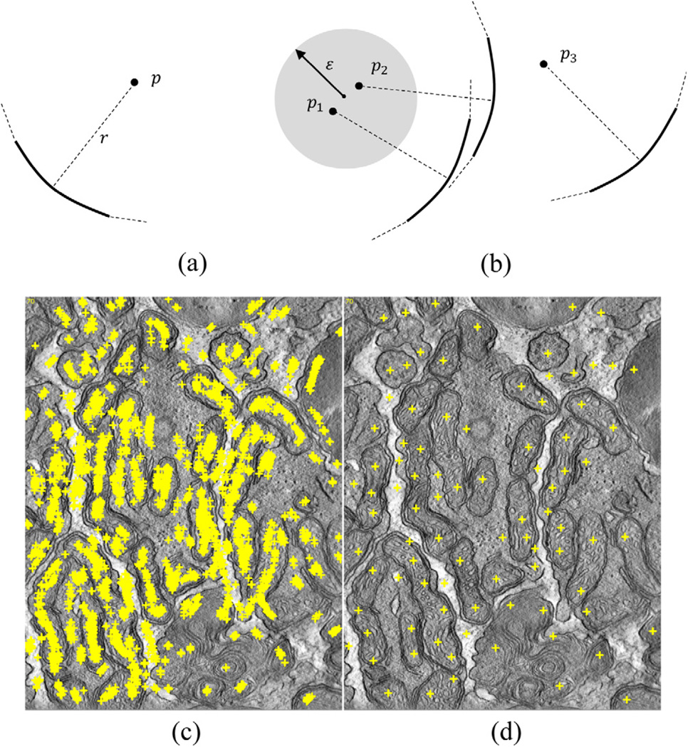 Fig. 9