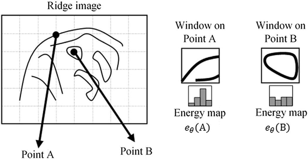 Fig. 3