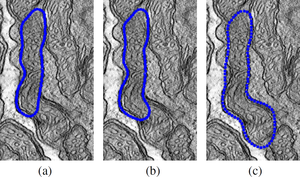 Fig. 6