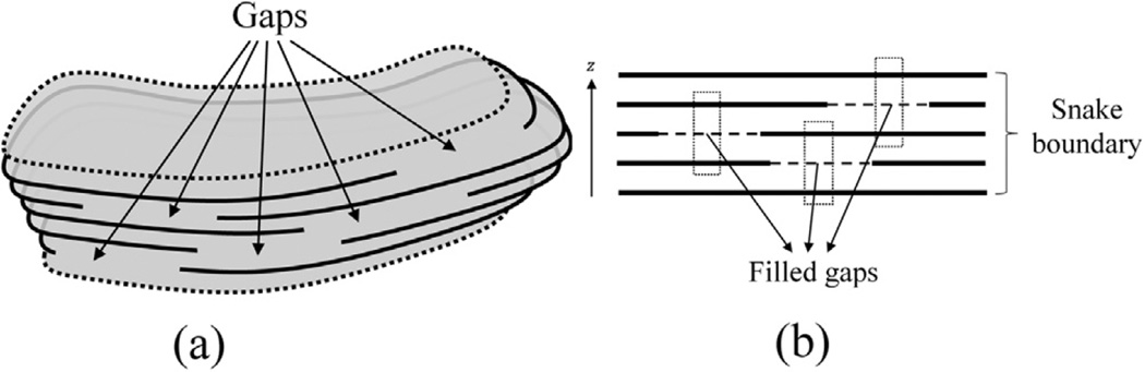 Fig. 10