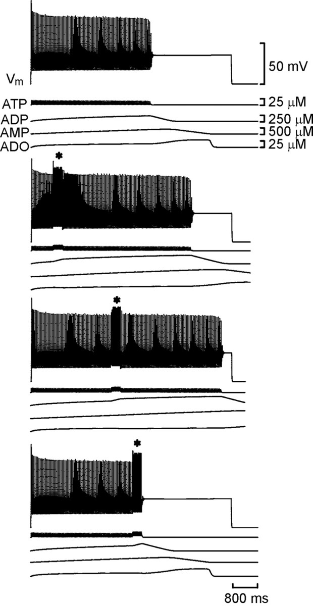 Fig. 3.