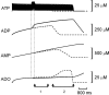 Fig. 6.