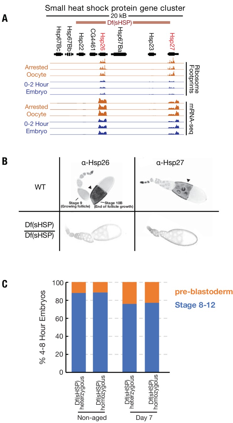 Figure 4—figure supplement 1.