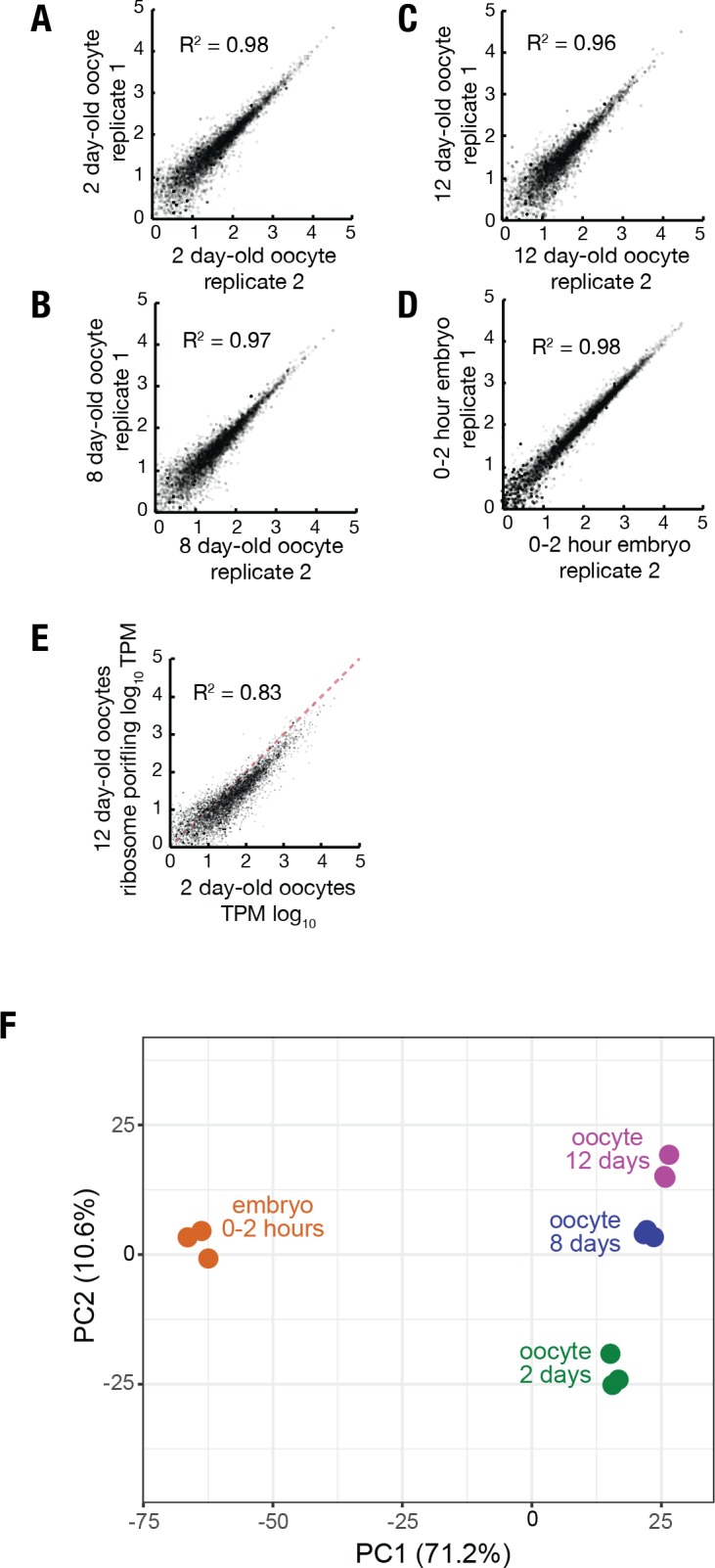 Figure 2—figure supplement 1.