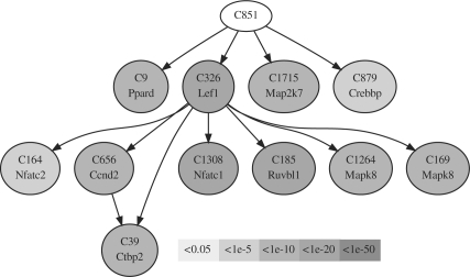 Fig. 4.