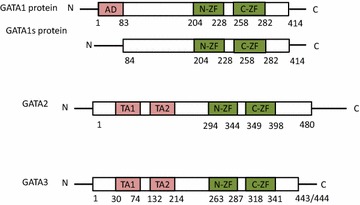 Fig. 1