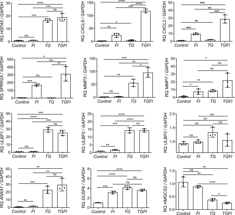 Figure 2