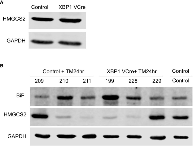 Figure 6