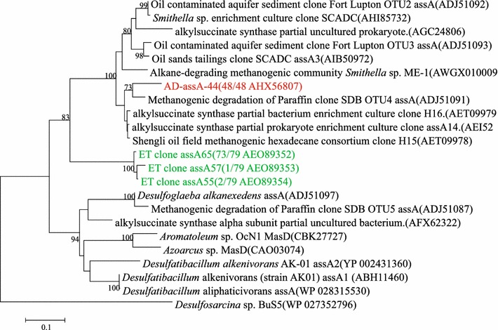 Figure 4