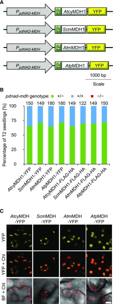 Figure 7.