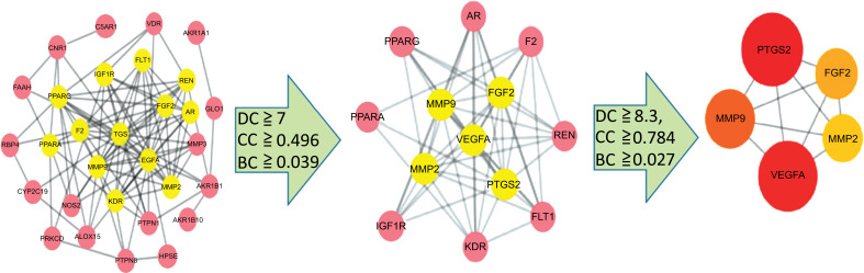 Fig. (5)