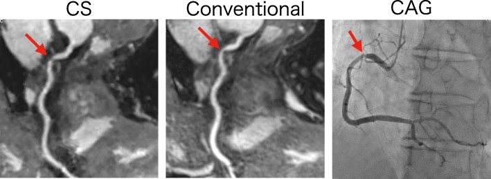 Fig. 7