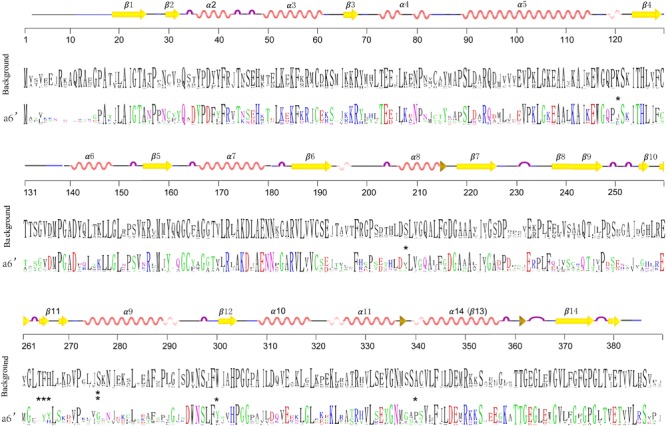 FIGURE 6