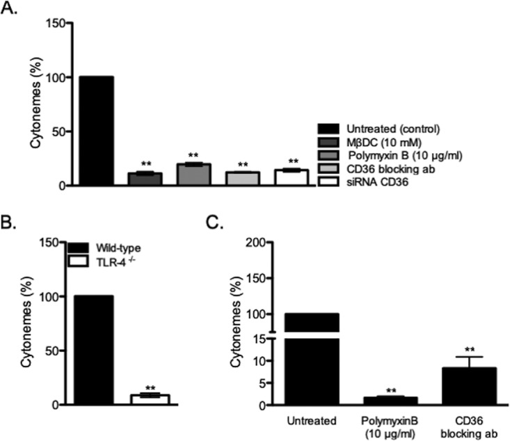 FIG 6