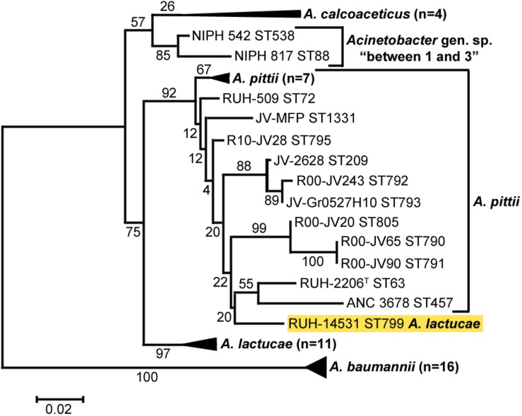 FIGURE 2