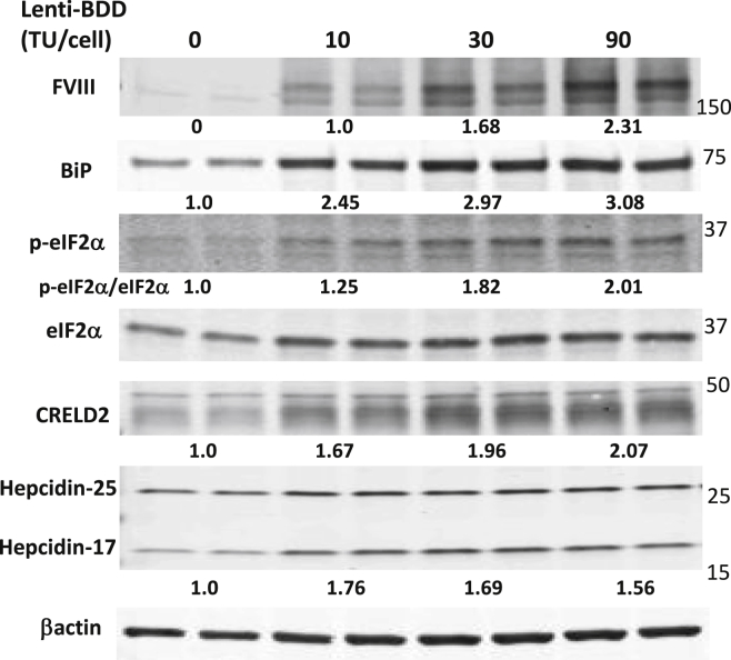 Figure 5