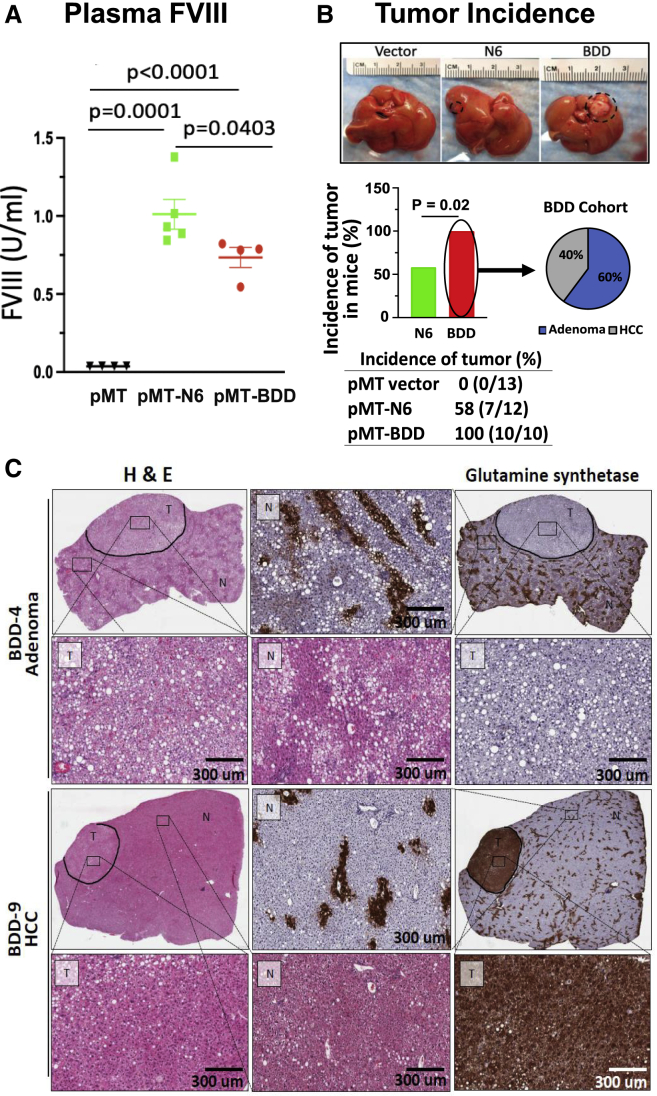 Figure 6