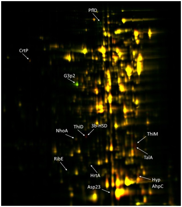 Figure 6