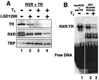 FIG. 9