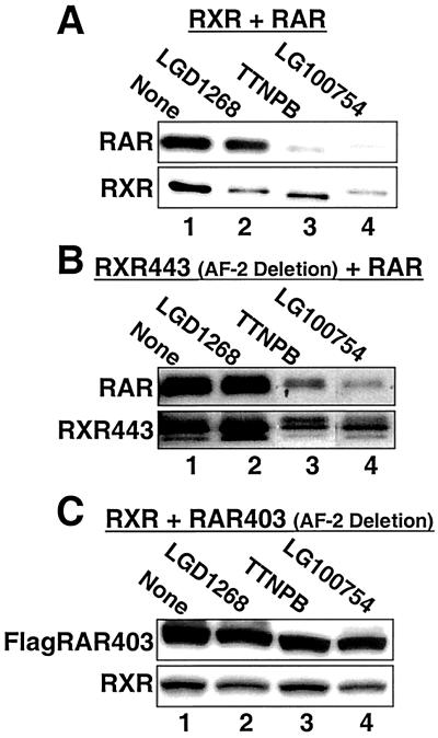 FIG. 8