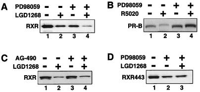 FIG. 7