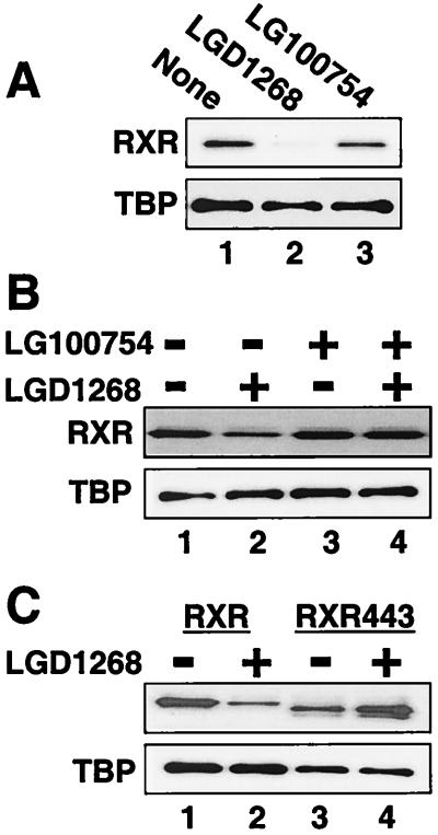 FIG. 6