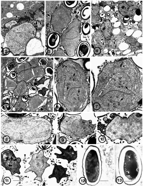 Fig. 2–13