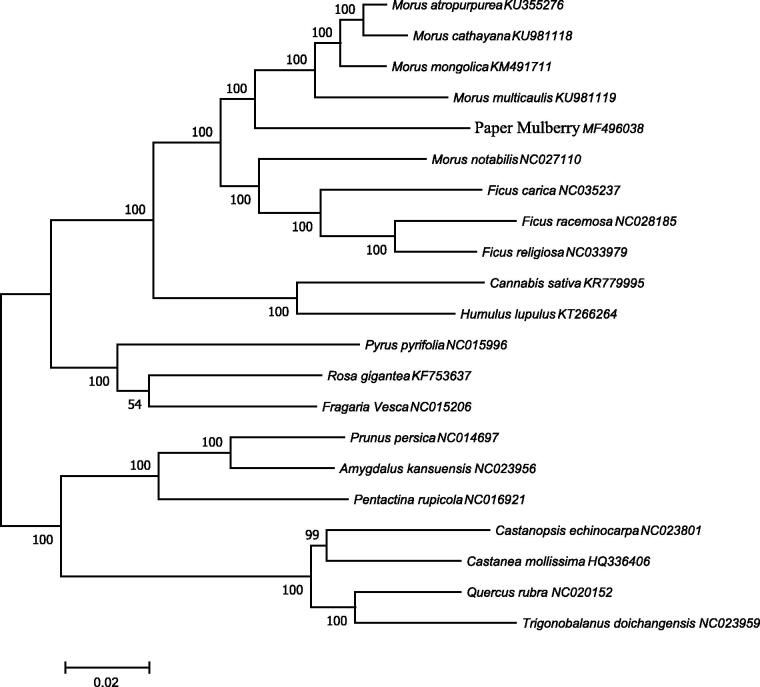 Figure 1.